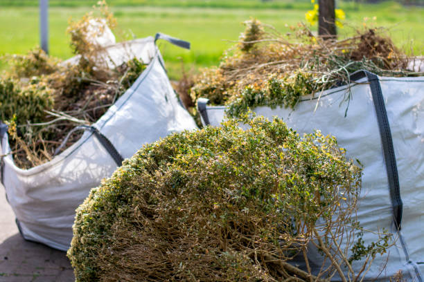 Best Same-Day Junk Removal  in Springdale, NC